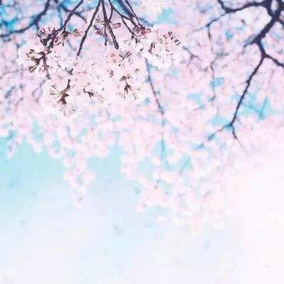 开膛手杰克桌游app下载